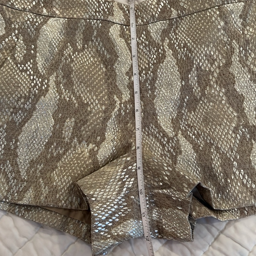 Shorts - Picture 6 of 6